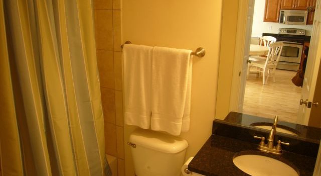 トイレの進化と快適な生活 トイレの進化と快適な生活