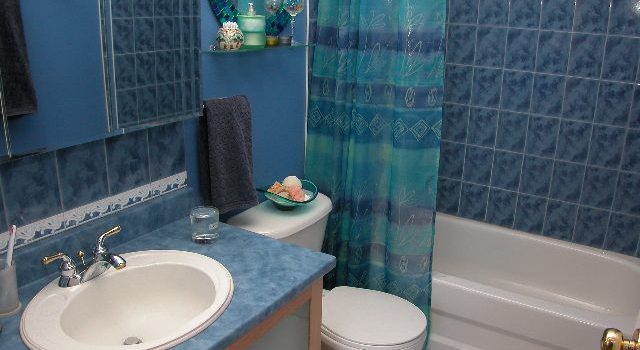 トイレが支える快適な暮らしと衛生を保つための基礎知識と最新技術 トイレが支える快適な暮らしと衛生を保つための基礎知識と最新技術